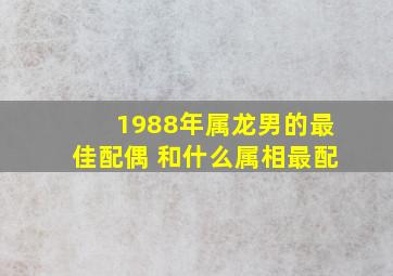 1988年属龙男的最佳配偶 和什么属相最配